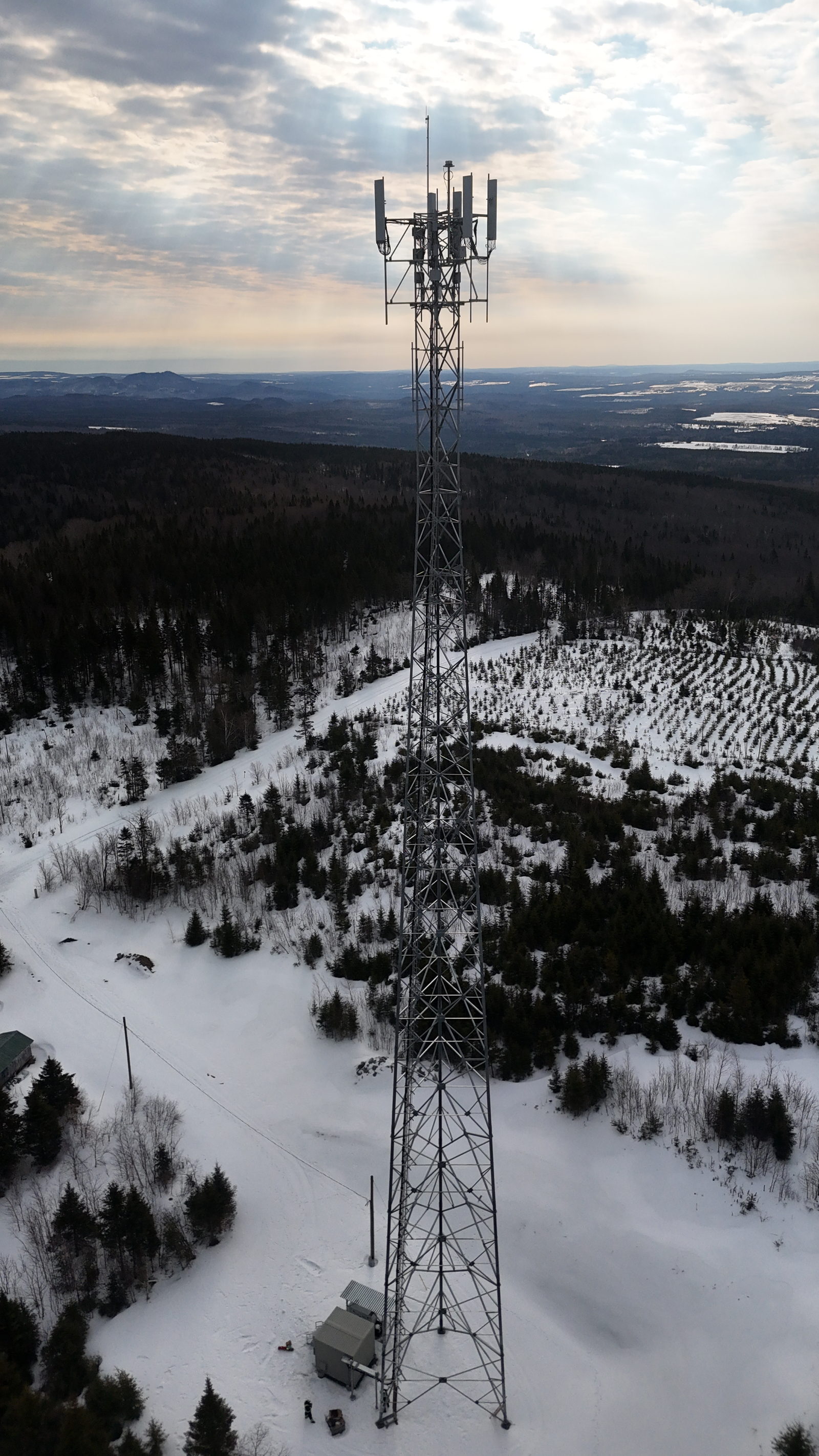 Pylône de télécommunications au-dessus d'une forêt enneigée